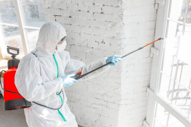 Mold Documentation for Insurance Claims in New Franklin, OH